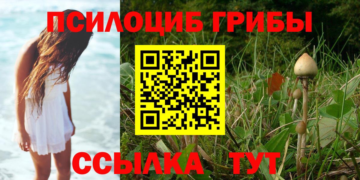 Галлюциногенные грибы Psilocybine cubensis  Вход с VPN  Фурманов 